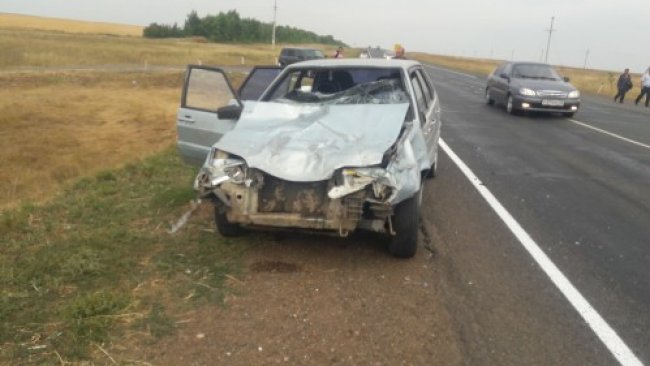 Водитель из Бузулука въехал в стадо коров