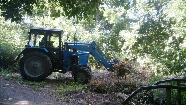 Бузулук присоединился к всероссийской экологической акции