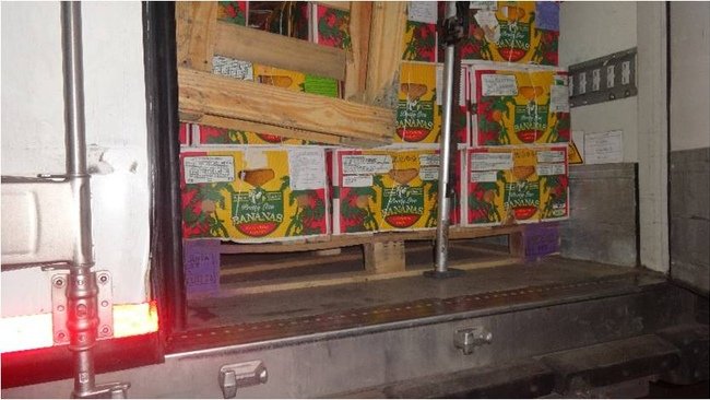 Под Бузулуком задержали более 80 тонн подкарантинной продукции из Казахстана