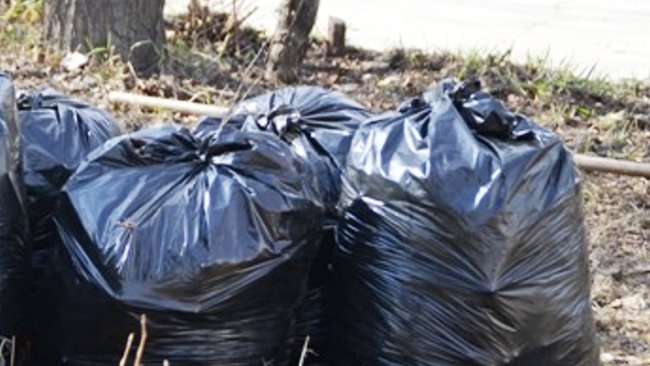 Бузулучане приняли участие во всероссийском экологическом субботнике 