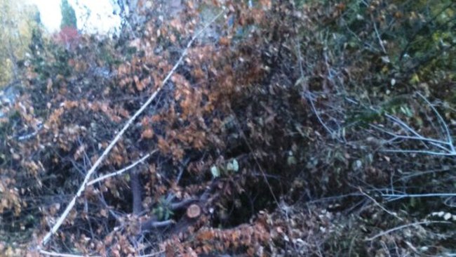 В Бузулуке коммунальщики не убрали за собой 