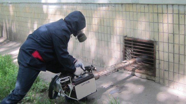 В Бузулуке провели масштабную обработку от крыс