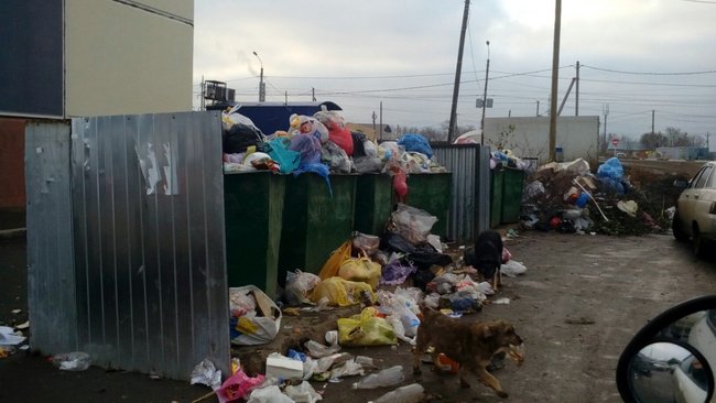 В Бузулуке продолжают появляться несанкционированные свалки 