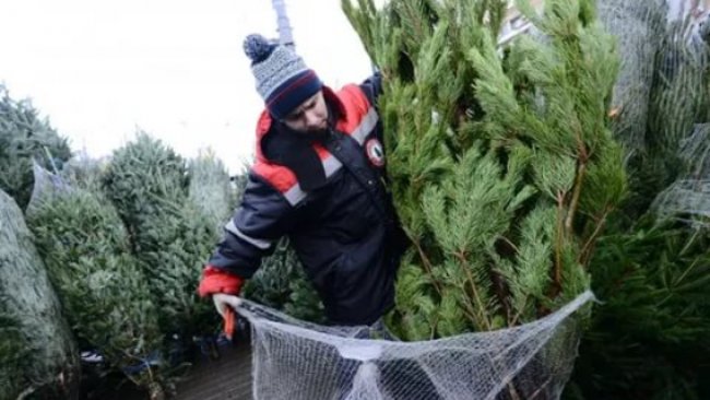 В Бузулуке начинают работу  22 ёлочных базара 