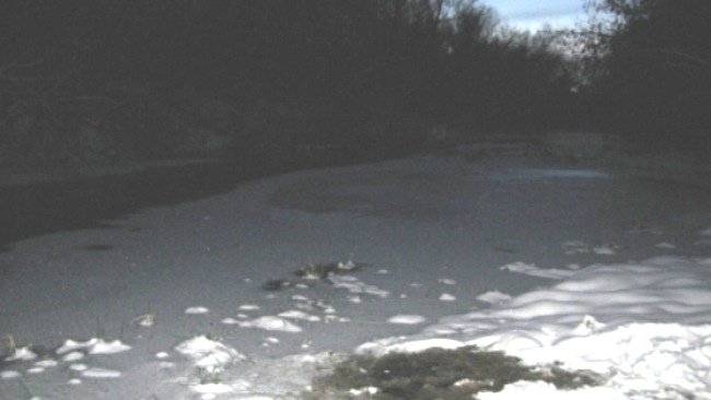 Провалившийся под лед восьмилетний мальчик до сих пор не найден