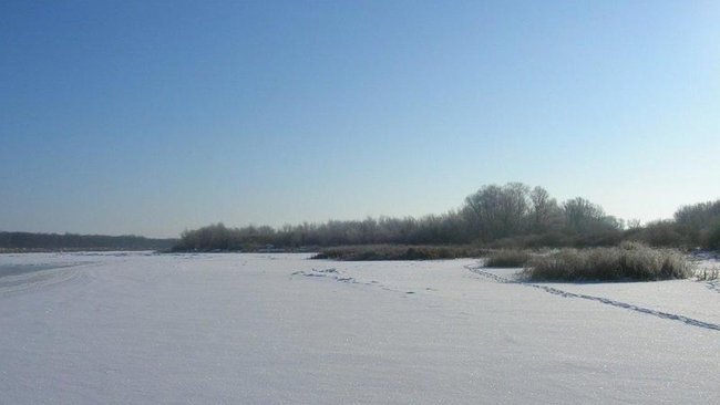 В Бузулукском районе вторую неделю продолжаются поиски женщины