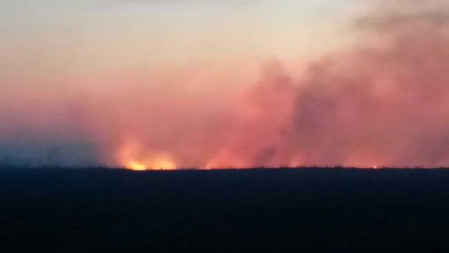 В Бузулукском районе вблизи кладбища горела степь