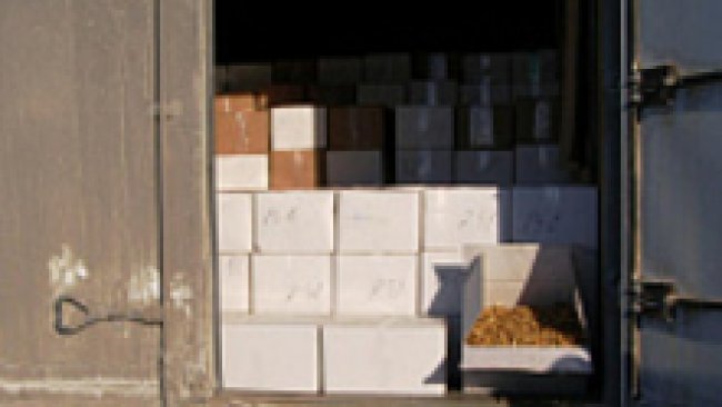 Попытки ввоза в Бузулук  овощей сомнительного качества продолжаются