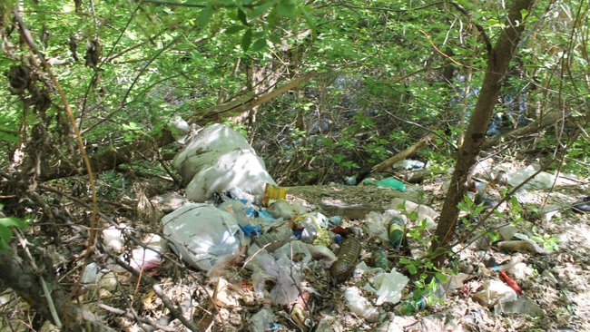 В Бузулукском районе продолжают разрастаться несанкционированные свалки 