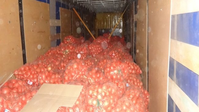 В Бузулук не пустили более 40 тонн овощей и ягод 