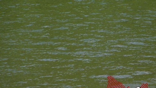 В Бузулуке после купания в реке девочка впала в кому