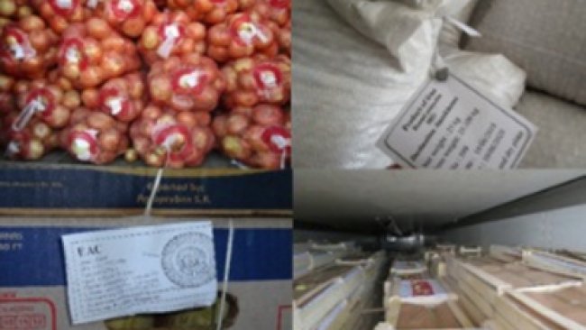 Через Бузулук продолжаются попытки ввоза овощей и фруктов сомнительного качества