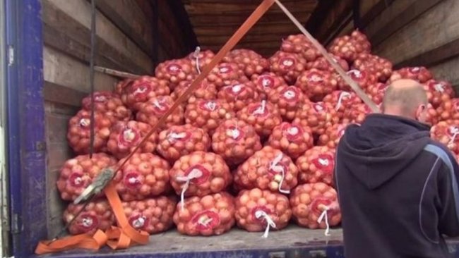 В Бузулукском районе 21 тонну лука признали небезопасной 