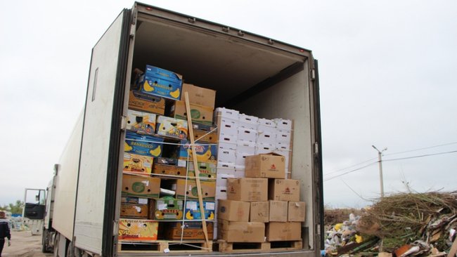 В Бузулуке на полигоне ТБО уничтожены полторы тонны ананасов, картофеля и лука 