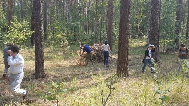 В Бузулукском бору состоялся Всероссийский субботник