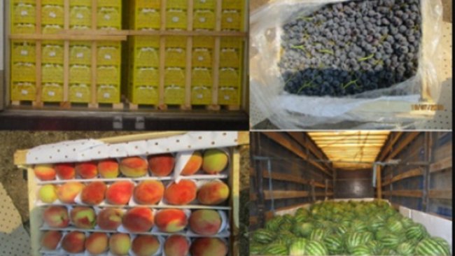 В Бузулук бахчевые культуры везут из стран ближнего зарубежья