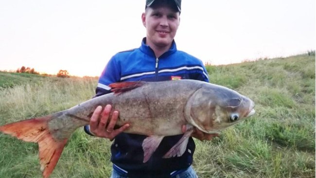 Рыбак из Бузулука поймал толстолобика с рекордным весом
