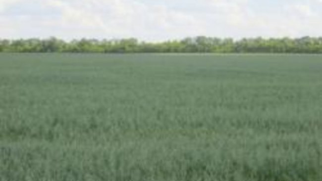 В ООО «Бугурусланнефть» упразднен карантинный режим