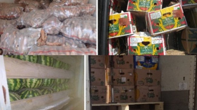 В Бузулукский район не пустили 116 тонн овощей и фруктов