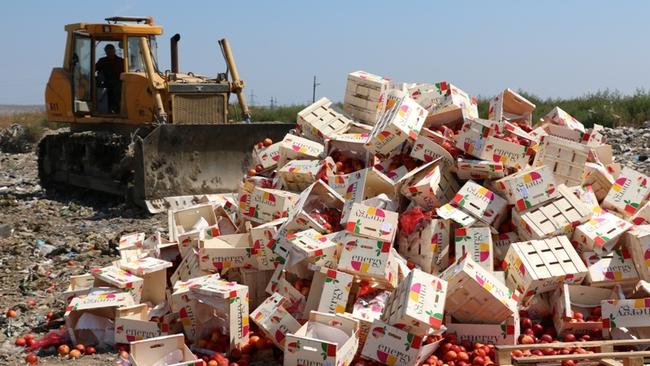 На полигоне ТБО в Бузулуке уничтожили партию заражённых персиков