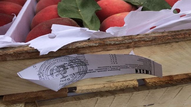 В Бузулукском районе предотвращен ввоз 24 тонн зараженных фруктов