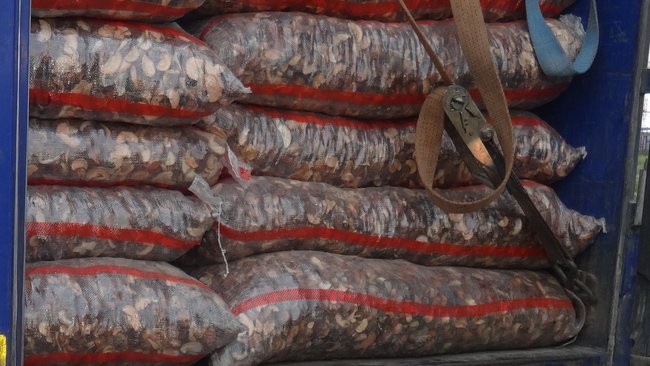 За три дня в Бузулукском районе задержано более 89 тонн карантинной продукции