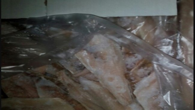 В Бузулукском районе задержали 15 тонн филе окуня