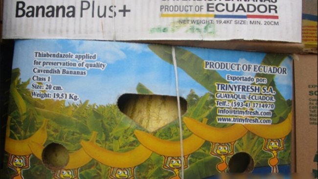 В Бузулукском  районе за два дня задержали 60 тонн подкарантийной продукции