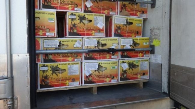 В Бузулукском районе попытки ввоза подкарантинных фруктов продолжаются 