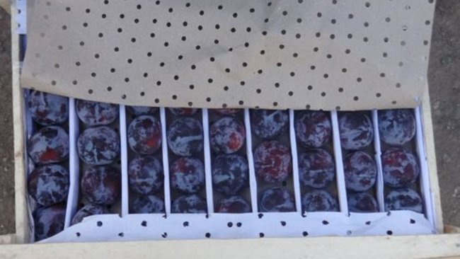 Через границу в Бузулукский район не пустили ни виноград, ни изюм