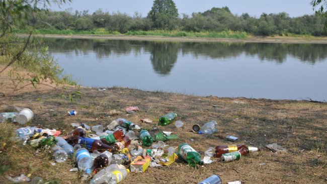 Администрации Бузулука предстоит очистить от мусора берег реки Домашка