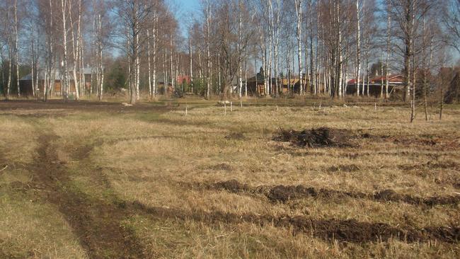 Администрация Бузулукского района готовит к продаже 45 земельных участков 