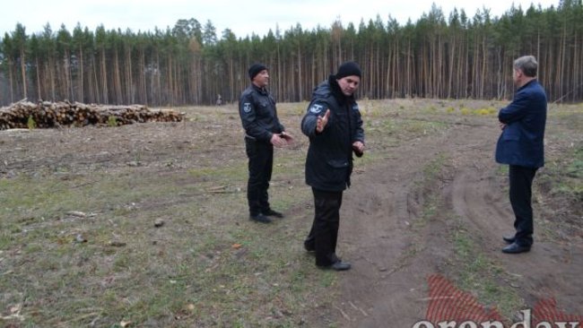 Нефтяные скважины в Бузулукском бору охраняют покруче «Искандеров»