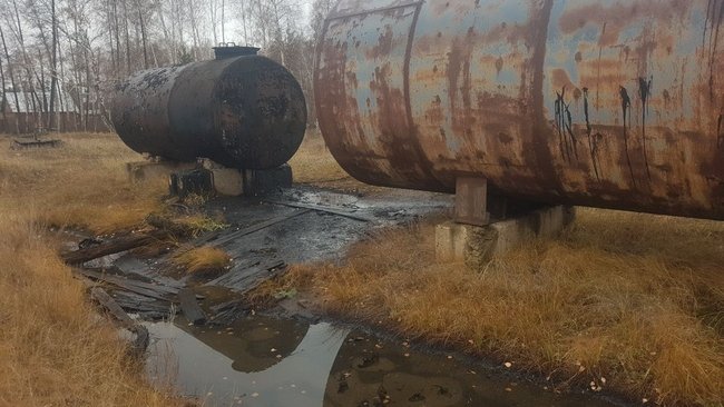 Возле бузулукского бора последствия экологической катастрофы устранять некому