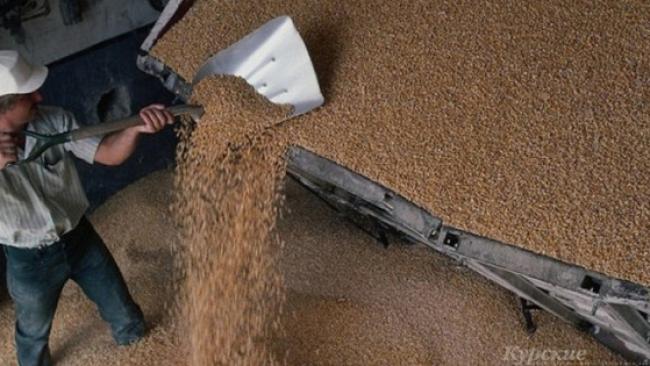 Бузулучанин лишился свободы за кражу 32 тонн пшеницы