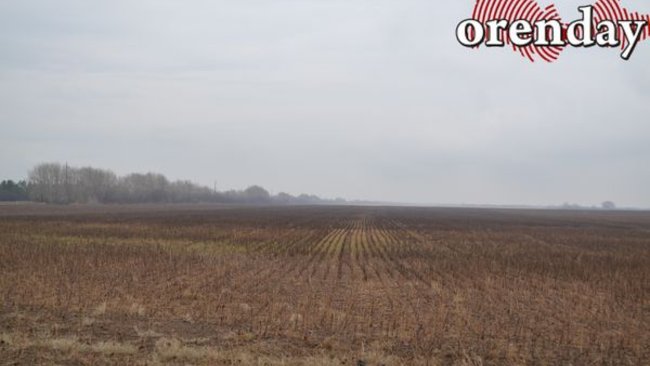 В Асекеевском районе глава КФХ нелегально использовал 120 гектаров чужой земли