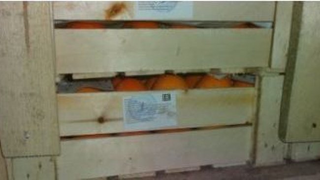 В Бузулукском районе задержали почти сотню тонн небезопасной продукции 