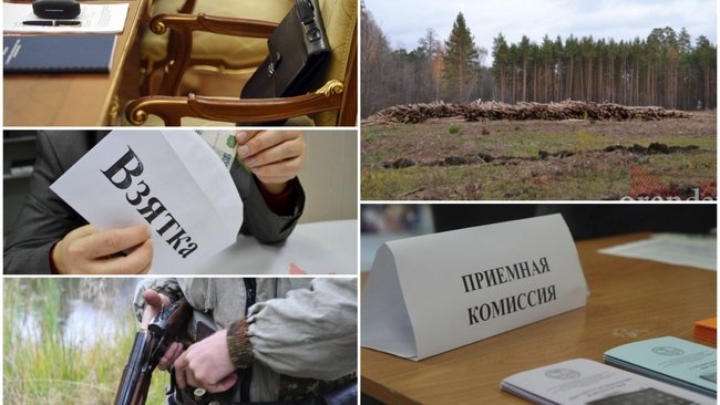 Чем Бузулуку запомнилась минувшая неделя