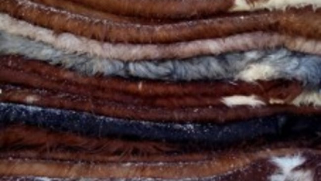 В Бузулук пытались ввезти почти 20 тонн шкур КРС из Казахстана