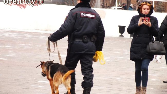 В Бузулукском районе собака раскрыла преступление