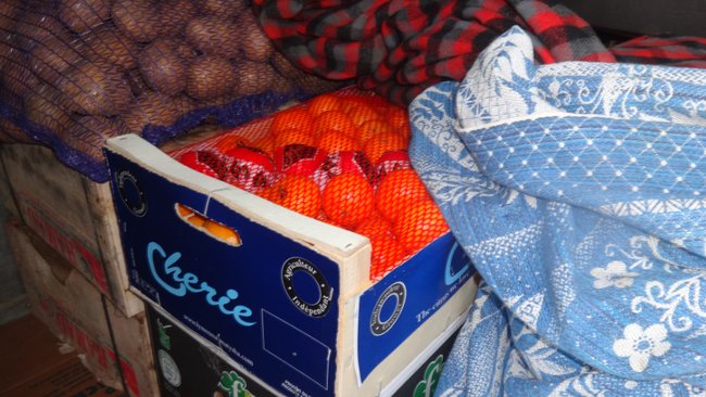 Через границу в Бузулукском районе не смогли провезти фрукты и овощи