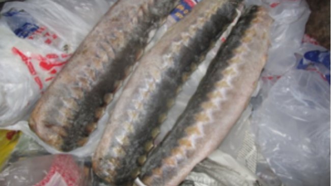 В Оренбуржье на границе задержали 3,9 тонны опасной продукции