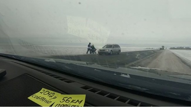 «Бодрый ленивец» из Бузулука стартовал пешком в Самару