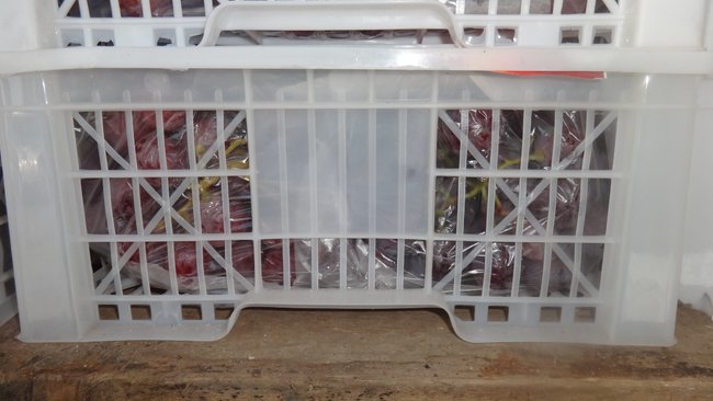 В Бузулук не пустили свежий лучок, абрикосы и грецкие орехи 