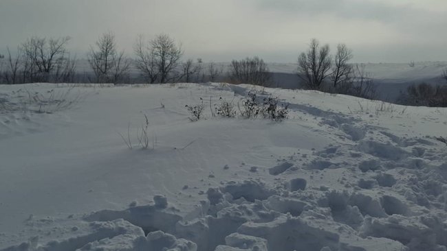 В Первомайском районе нелегалы перешли границу пешком