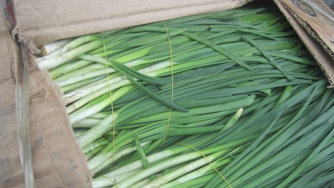 В Бузулукский район не пустили овощи из Киргизии 