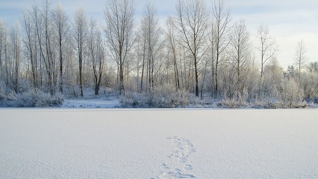 В Грачевском районе на озере утонул местный житель