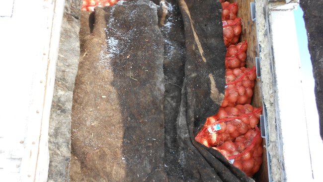 В Бузулукский район не пустили яблоки, черешню и грушу 