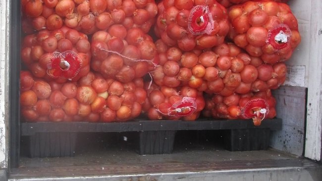 В Бузулук не пустили потенциально опасные саженцы и овощи