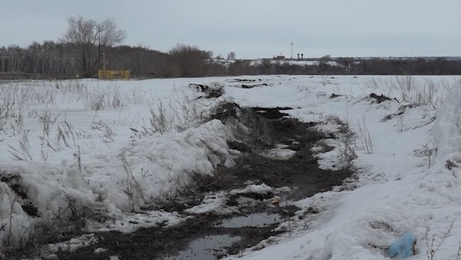 Отходы со свинофермы, возможно, загрязняют реку в Бузулукском районе